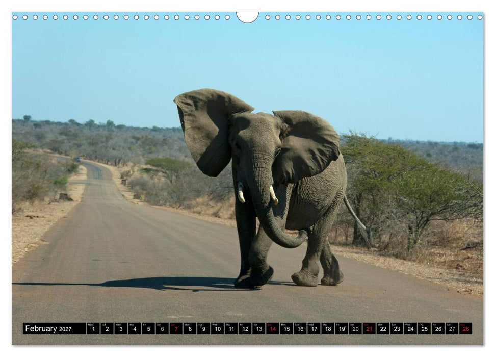 South Africa / UK-Version (CALVENDO Monthly Calendar 2027)