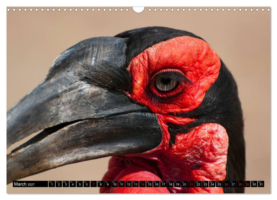 South Africa / UK-Version (CALVENDO Monthly Calendar 2027)