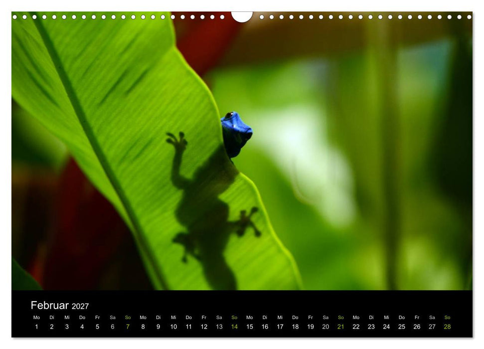 Reptilien (CALVENDO Wandkalender 2027)