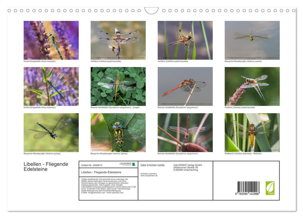 Libellen - Fliegende Edelsteine (CALVENDO Wandkalender 2027)