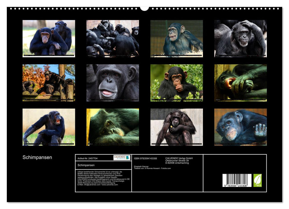 Schimpansen (CALVENDO Premium Wandkalender 2027)