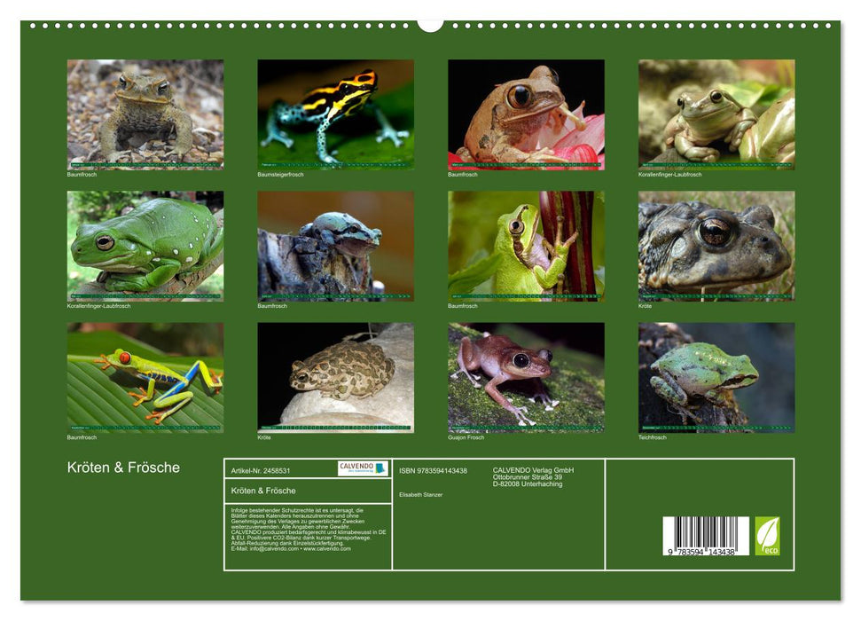 Kröten & Frösche (CALVENDO Premium Wandkalender 2027)