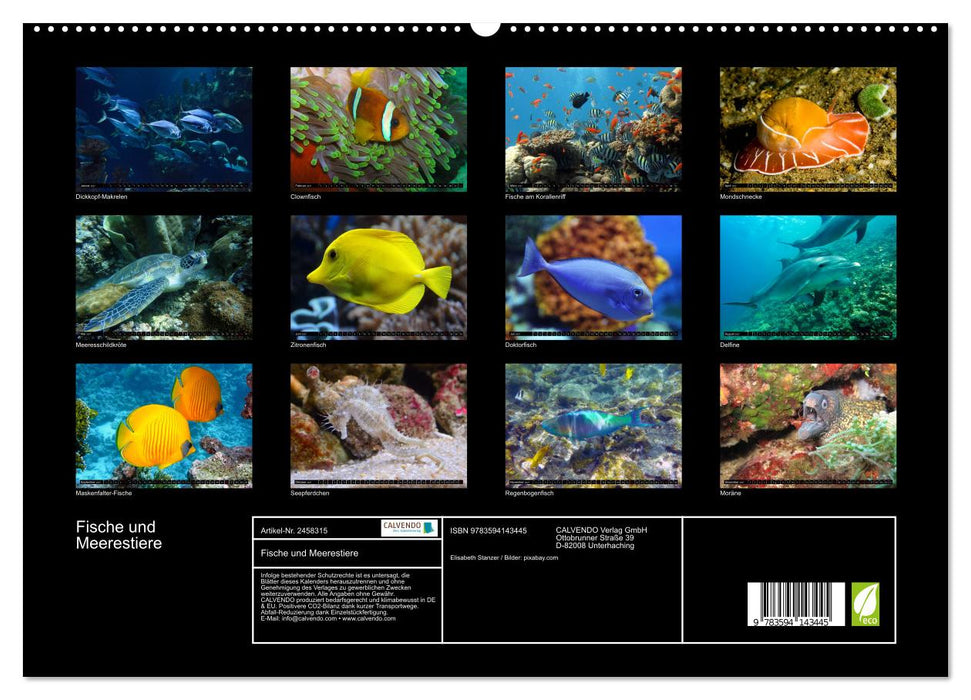 Fische und Meerestiere (CALVENDO Premium Wandkalender 2027)