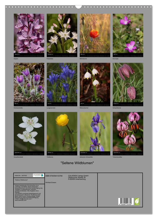 "Seltene Wildblumen" (CALVENDO Wandkalender 2027)