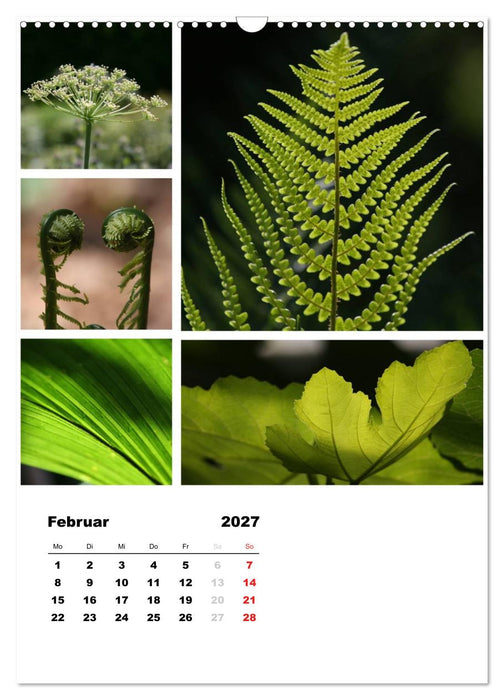 Blüten Collagen (CALVENDO Wandkalender 2027)
