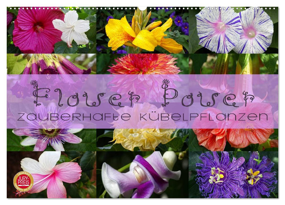 Flower Power - Zauberhafte Kübelpflanzen (CALVENDO Wandkalender 2027)
