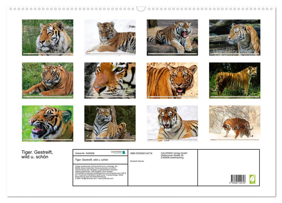 Tiger. Gestreift, wild u. schön (CALVENDO Wandkalender 2027)