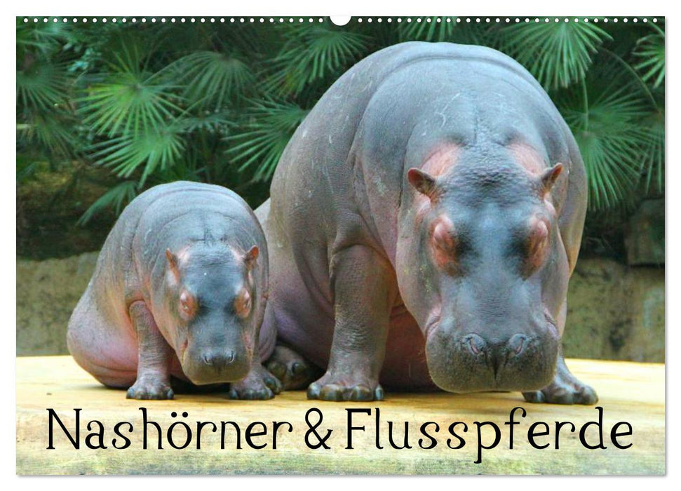 Nashörner & Flusspferde (CALVENDO Wandkalender 2027)