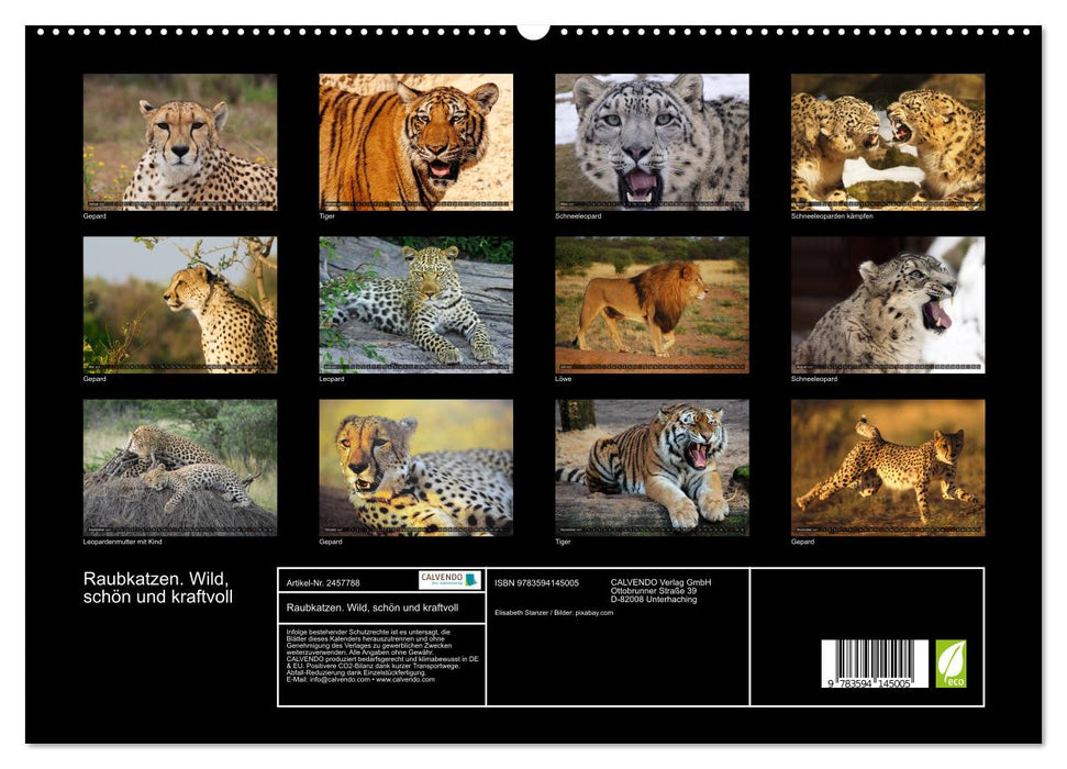 Raubkatzen. Wild, schön und kraftvoll (CALVENDO Premium Wandkalender 2027)