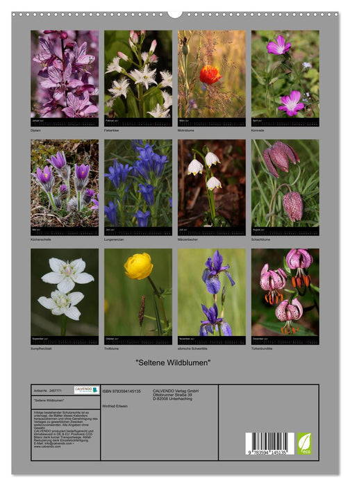 "Seltene Wildblumen" (CALVENDO Premium Wandkalender 2027)