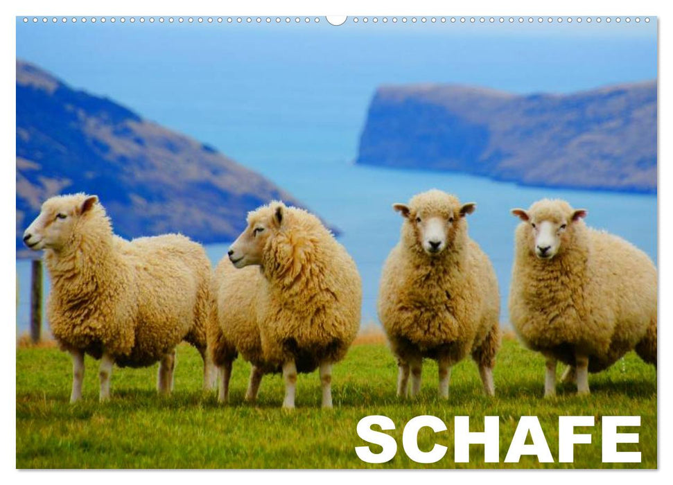 Schafe / Geburtstagskalender (CALVENDO Wandkalender 2027)