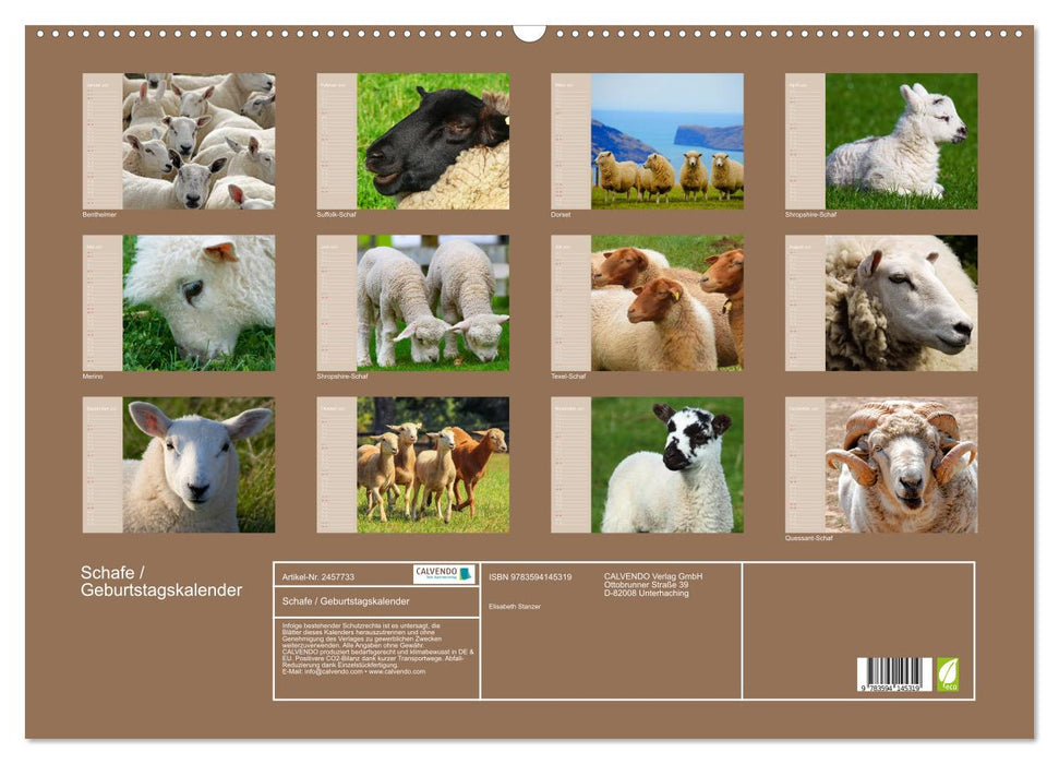 Schafe / Geburtstagskalender (CALVENDO Wandkalender 2027)