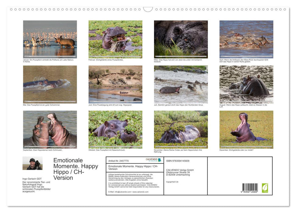 Emotionale Momente. Happy Hippo / CH-Version (CALVENDO Wandkalender 2027)