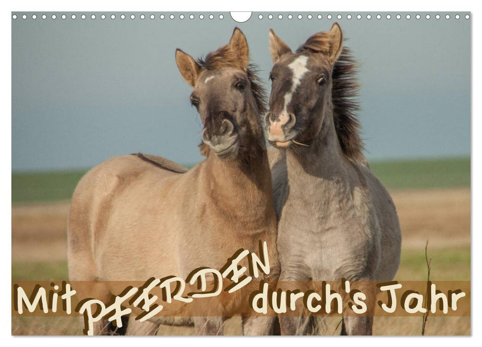 Mit Pferden durch´s Jahr (CALVENDO Wandkalender 2027)