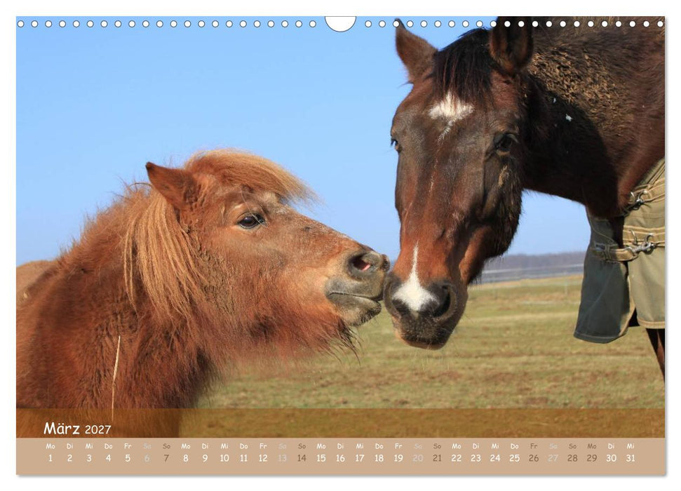 Mit Pferden durch´s Jahr (CALVENDO Wandkalender 2027)