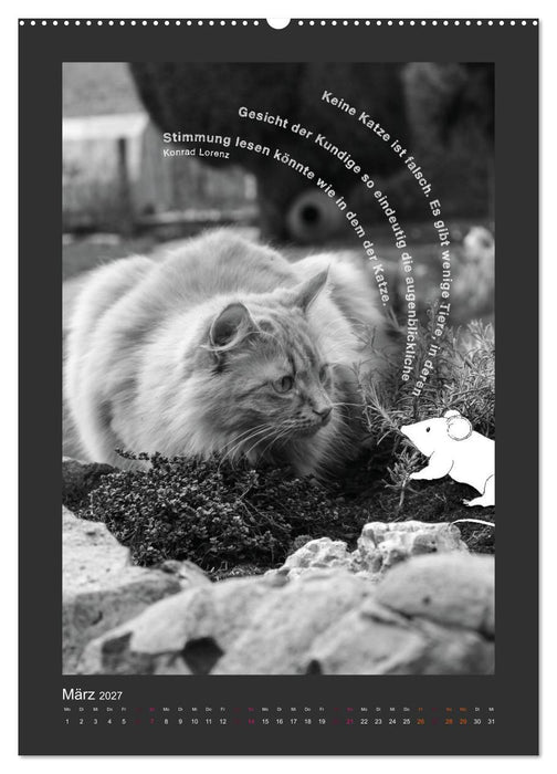 Katz & Maus (CALVENDO Wandkalender 2027)