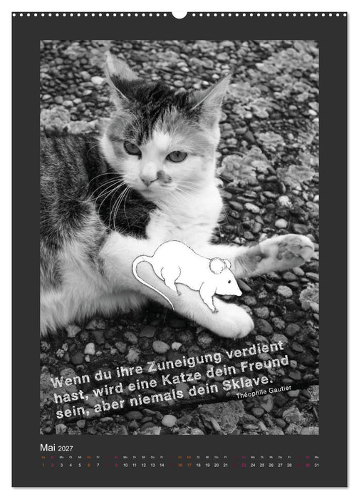 Katz & Maus (CALVENDO Wandkalender 2027)