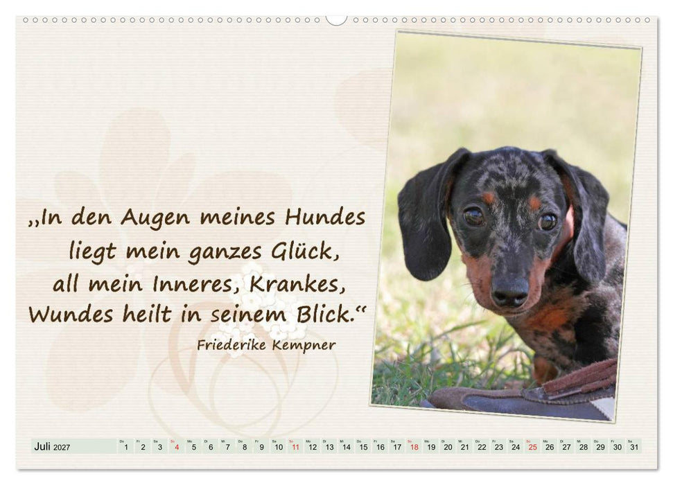 Mit Hundezitaten gut durchs Jahr / CH-Version (CALVENDO Premium Wandkalender 2027)