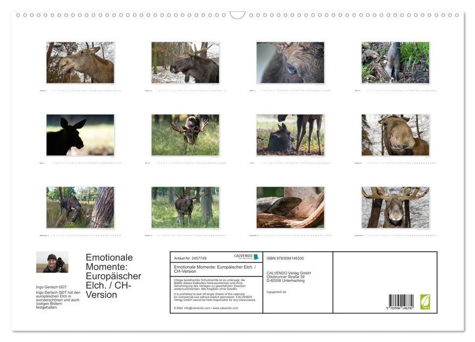 Emotionale Momente: Europäischer Elch. / CH-Version (CALVENDO Wandkalender 2027)