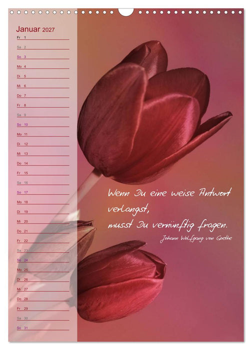 Blumen & Zitate / Geburtstagskalender (CALVENDO Wandkalender 2027)