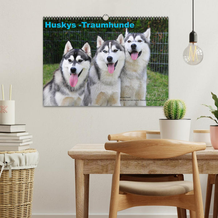 Huskys - Traumhunde (CALVENDO Wandkalender 2027)