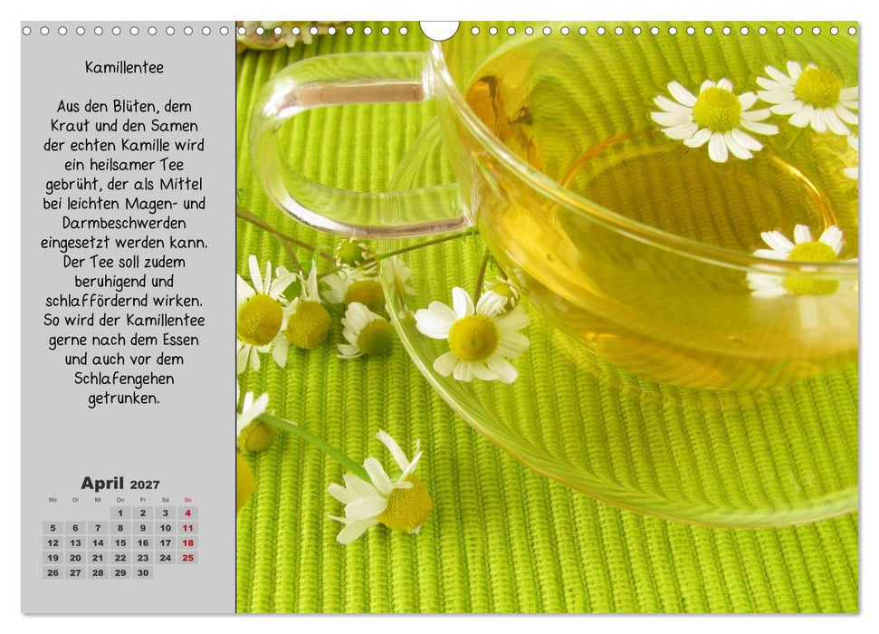 Eine kleine Teekunde - Zwölf Teesorten im Porträt (CALVENDO Wandkalender 2027)
