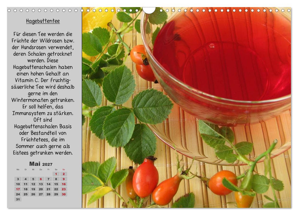 Eine kleine Teekunde - Zwölf Teesorten im Porträt (CALVENDO Wandkalender 2027)