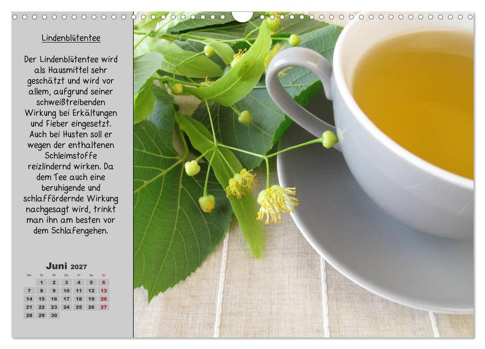 Eine kleine Teekunde - Zwölf Teesorten im Porträt (CALVENDO Wandkalender 2027)