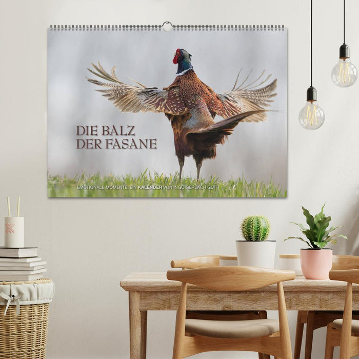 Emotionale Momente: Die Balz der Fasane / CH-Version (CALVENDO Wandkalender 2027)