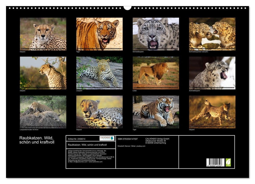 Raubkatzen. Wild, schön und kraftvoll (CALVENDO Wandkalender 2027)