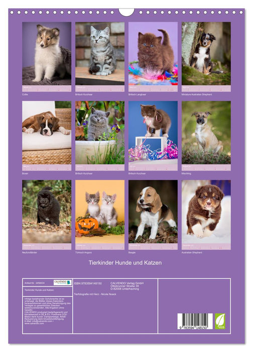Tierkinder Hunde und Katzen (CALVENDO Wandkalender 2027)