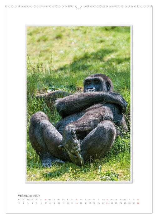Emotionale Momente: Aus dem Leben der Familie Gorilla. (CALVENDO Premium Wandkalender 2027)
