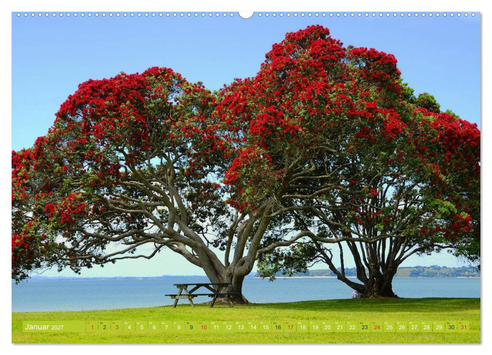 Neuseeland • Impressionen (CALVENDO Premium Wandkalender 2027)