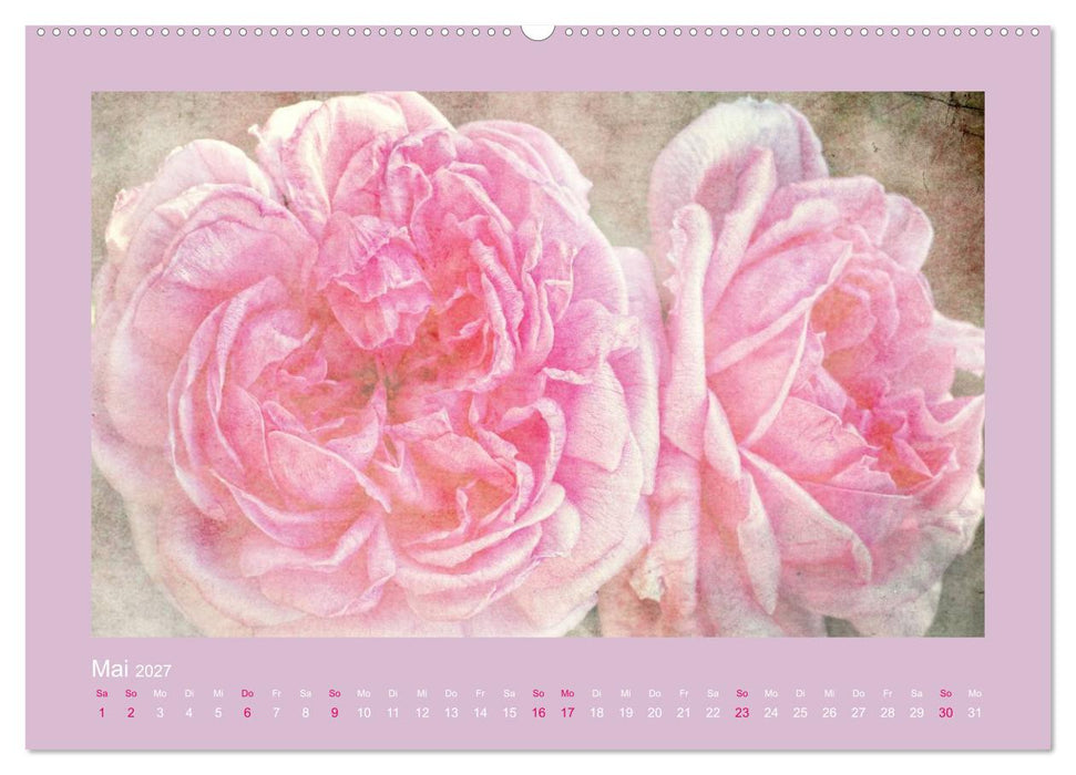 Romantische Rosen (CALVENDO Wandkalender 2027)