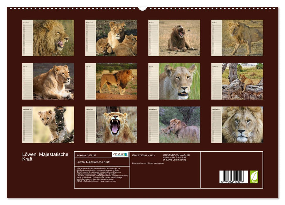 Löwen. Majestätische Kraft (CALVENDO Premium Wandkalender 2027)