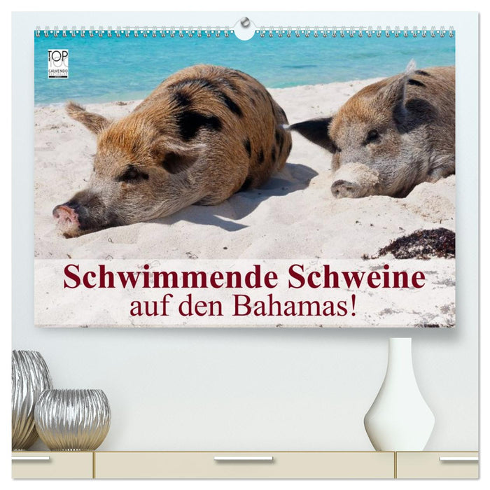 Schwimmende Schweine auf den Bahamas! (CALVENDO Premium Wandkalender 2027)