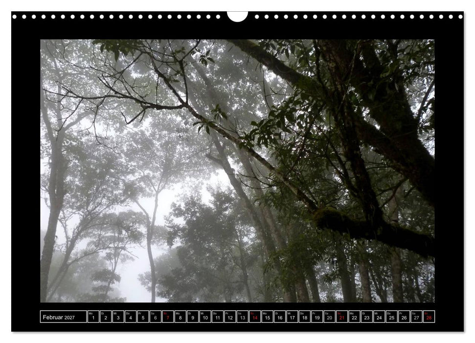 Venezuela & Caracas (CALVENDO Wandkalender 2027)