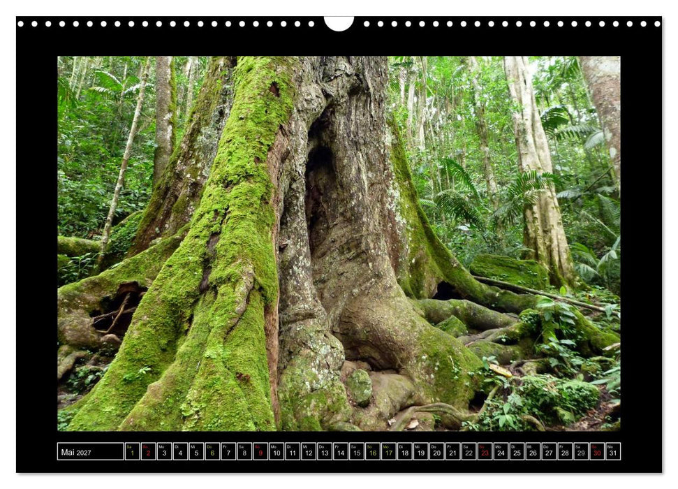 Venezuela & Caracas (CALVENDO Wandkalender 2027)