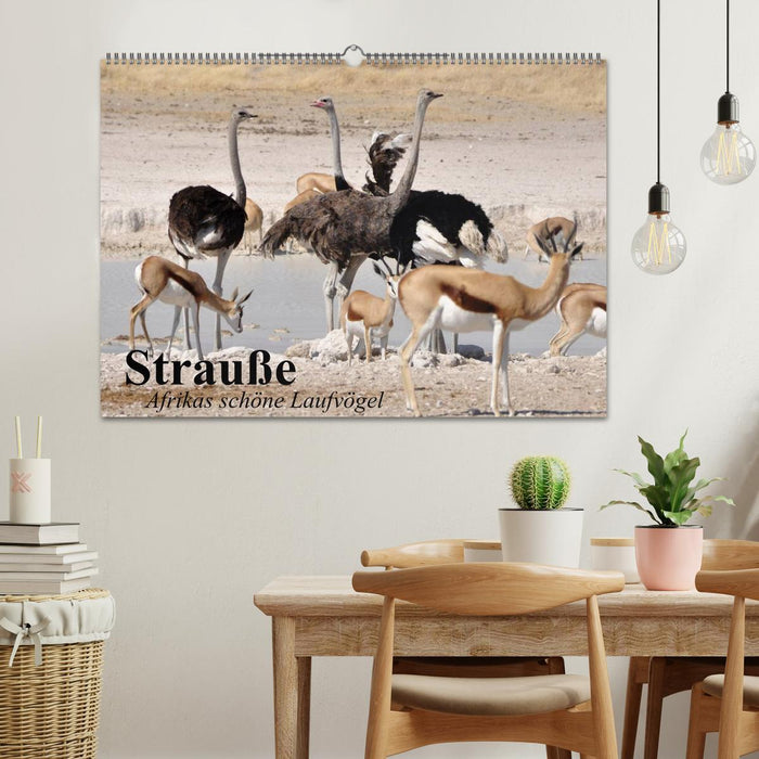Strauße. Afrikas schöne Laufvögel (CALVENDO Wandkalender 2027)