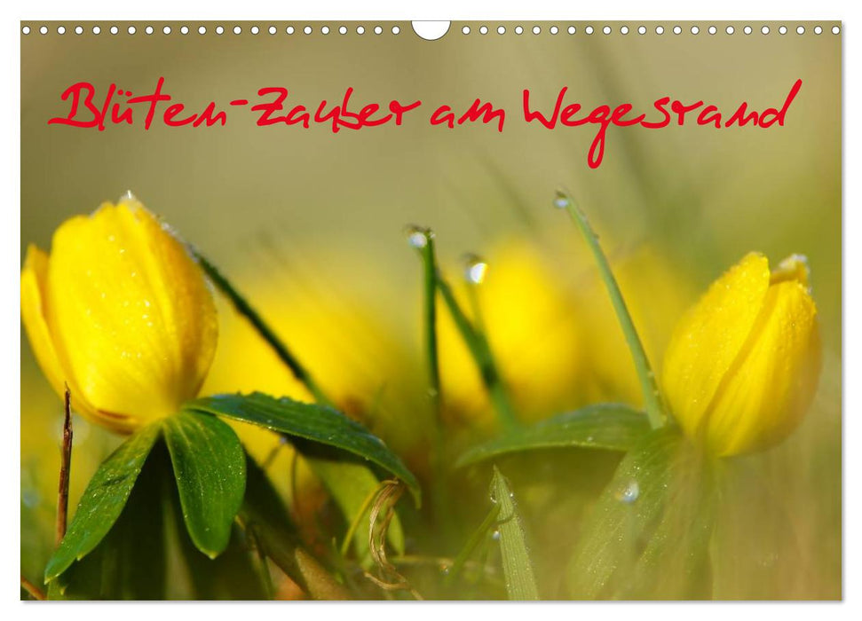 Blüten-Zauber am Wegesrand 2027 (CALVENDO Wandkalender 2027)
