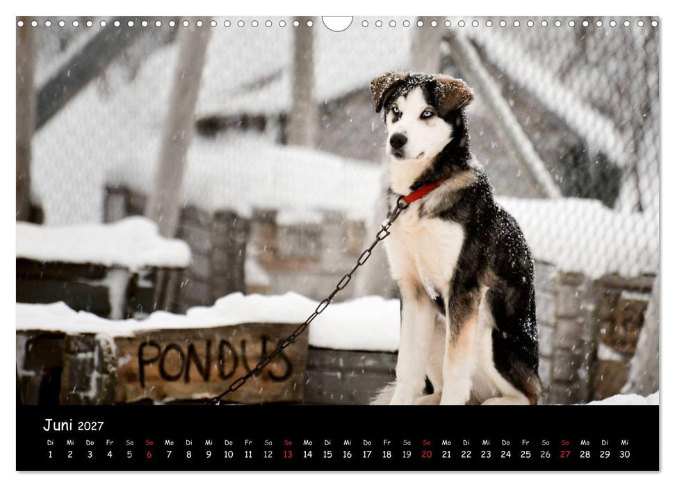 Norwegen (CALVENDO Wandkalender 2027)