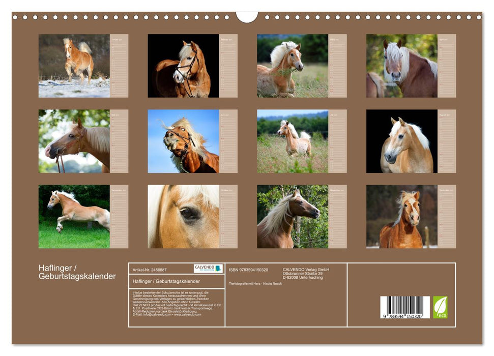 Haflinger / Geburtstagskalender (CALVENDO Wandkalender 2027)
