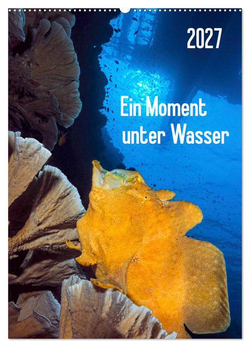 Ein Moment unter Wasser (CALVENDO Wandkalender 2027)