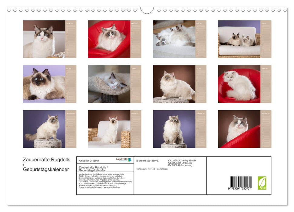Zauberhafte Ragdolls / Geburtstagskalender (CALVENDO Wandkalender 2027)