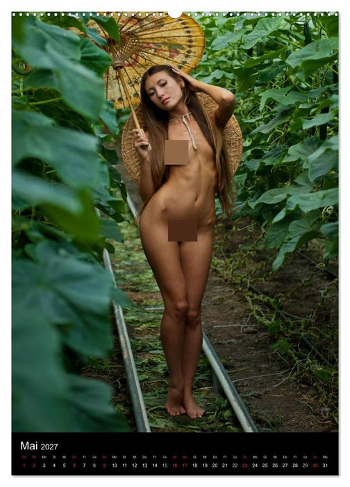 Erotische Fantasien (CALVENDO Premium Wandkalender 2027)