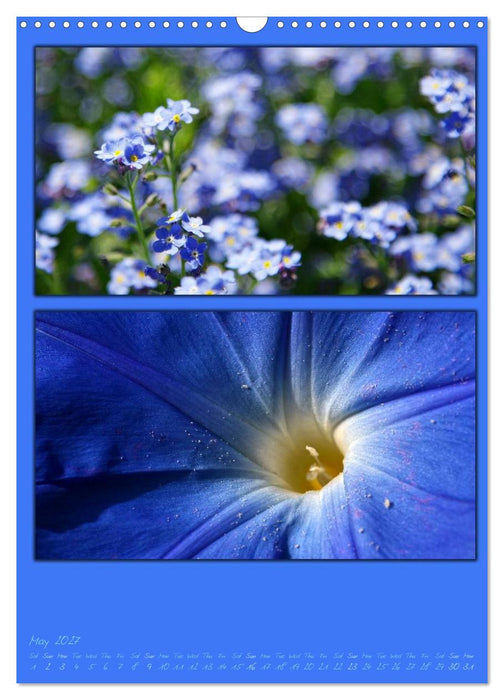 Colours of Nature / UK-Version (CALVENDO Monthly Calendar 2027)