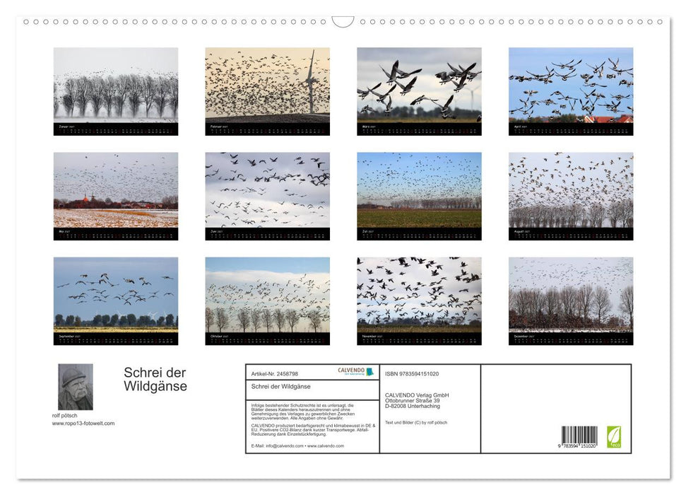 Schrei der Wildgänse (CALVENDO Wandkalender 2027)