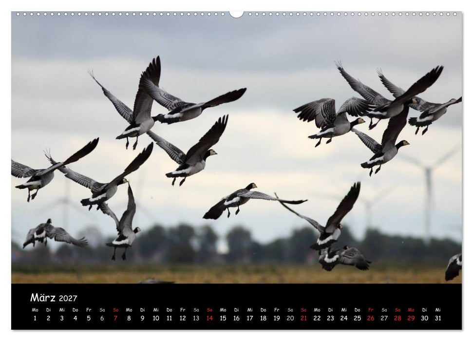 Schrei der Wildgänse (CALVENDO Wandkalender 2027)
