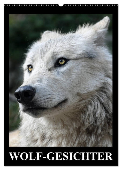 Wolf-Gesichter (CALVENDO Wandkalender 2027)