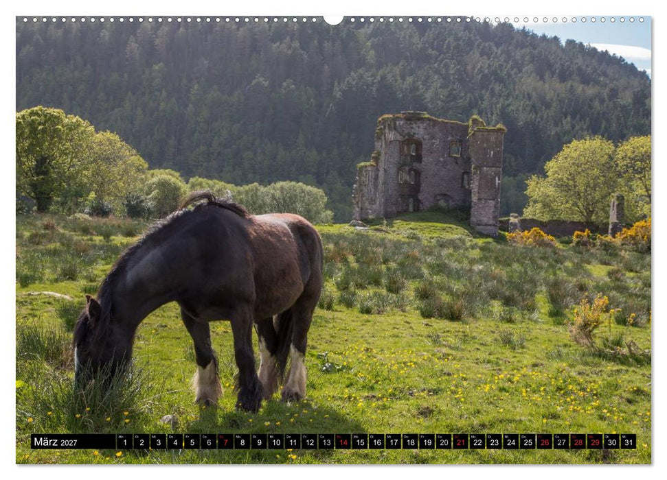 Irland Impressionen Südwesten und Westen (CALVENDO Wandkalender 2027)